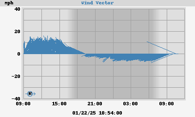 Wind Vector